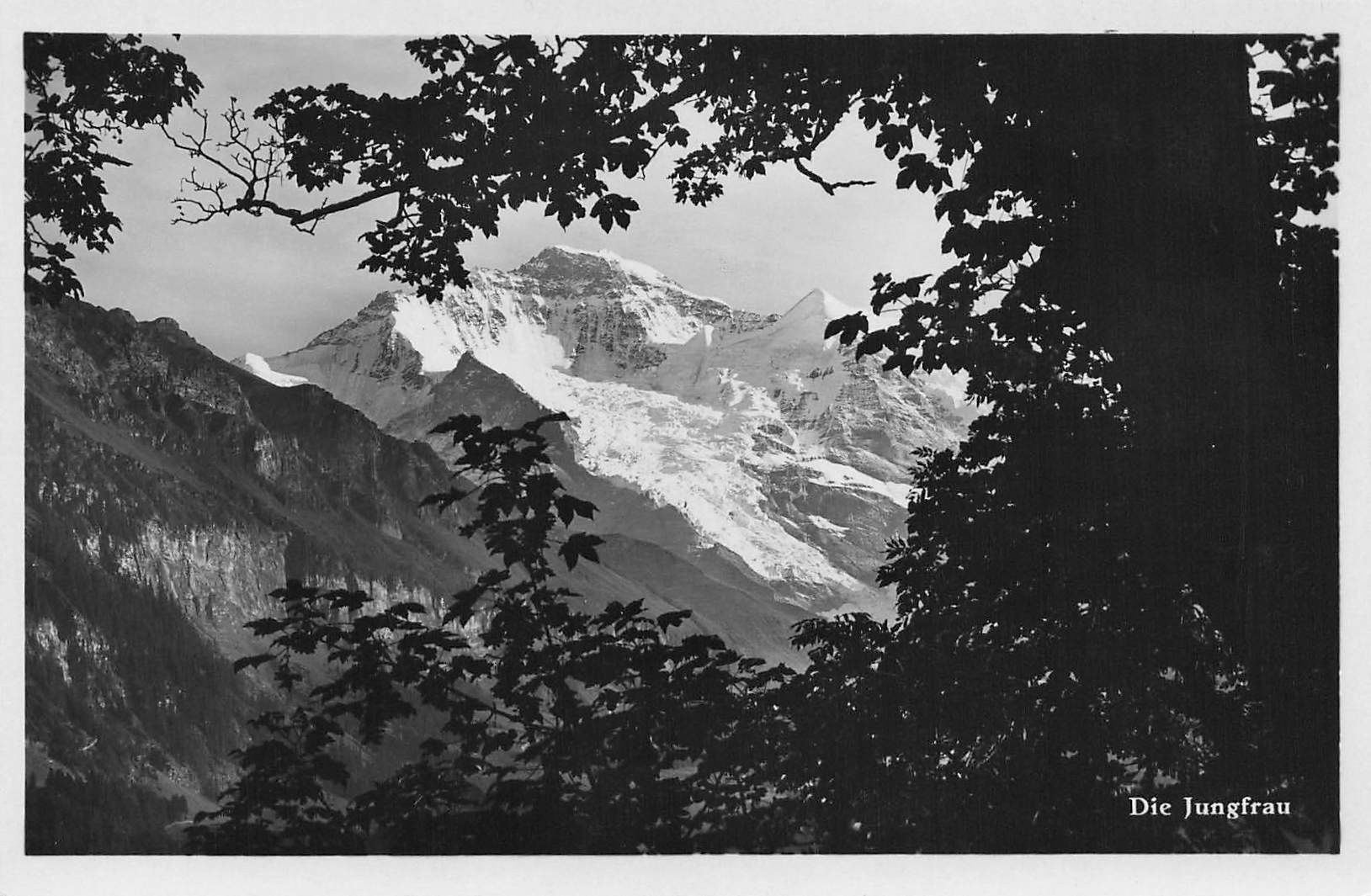 Cartoline postali: Jungfrau BE Bergansicht durch Wald – Usato da Biasca venduto da Blenio71