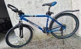 Velo Wheeler