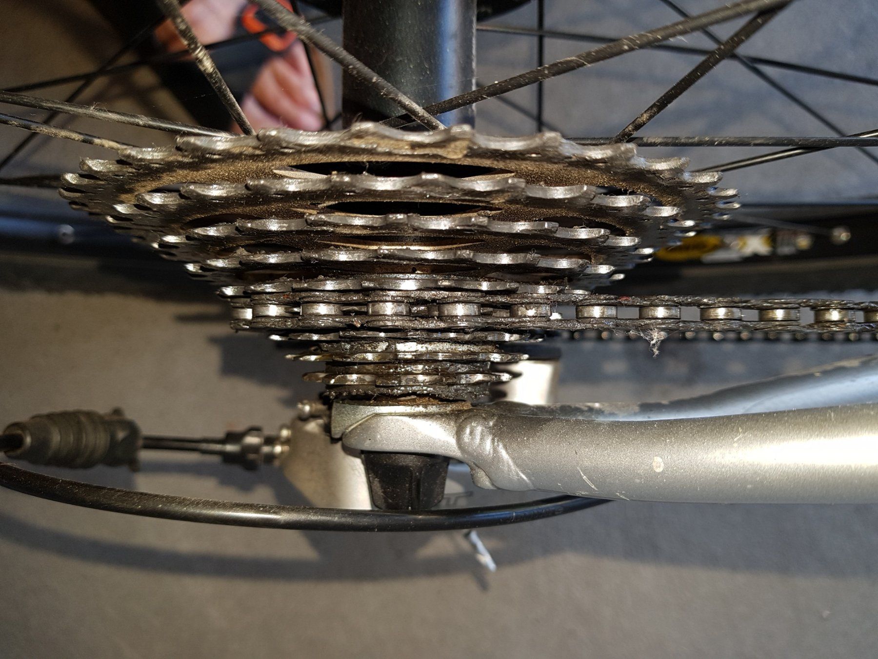 Specialized Biciclette: Specialized Rockhopper MTB (kleiner Rahmen) – Usato da Gebenstorf venduto da chillhous 8