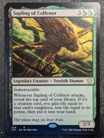 Sapling of Colfenor - MtG - EN