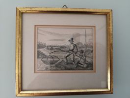 Federlithographie Fischer nach Comenius von J.E. Sailer