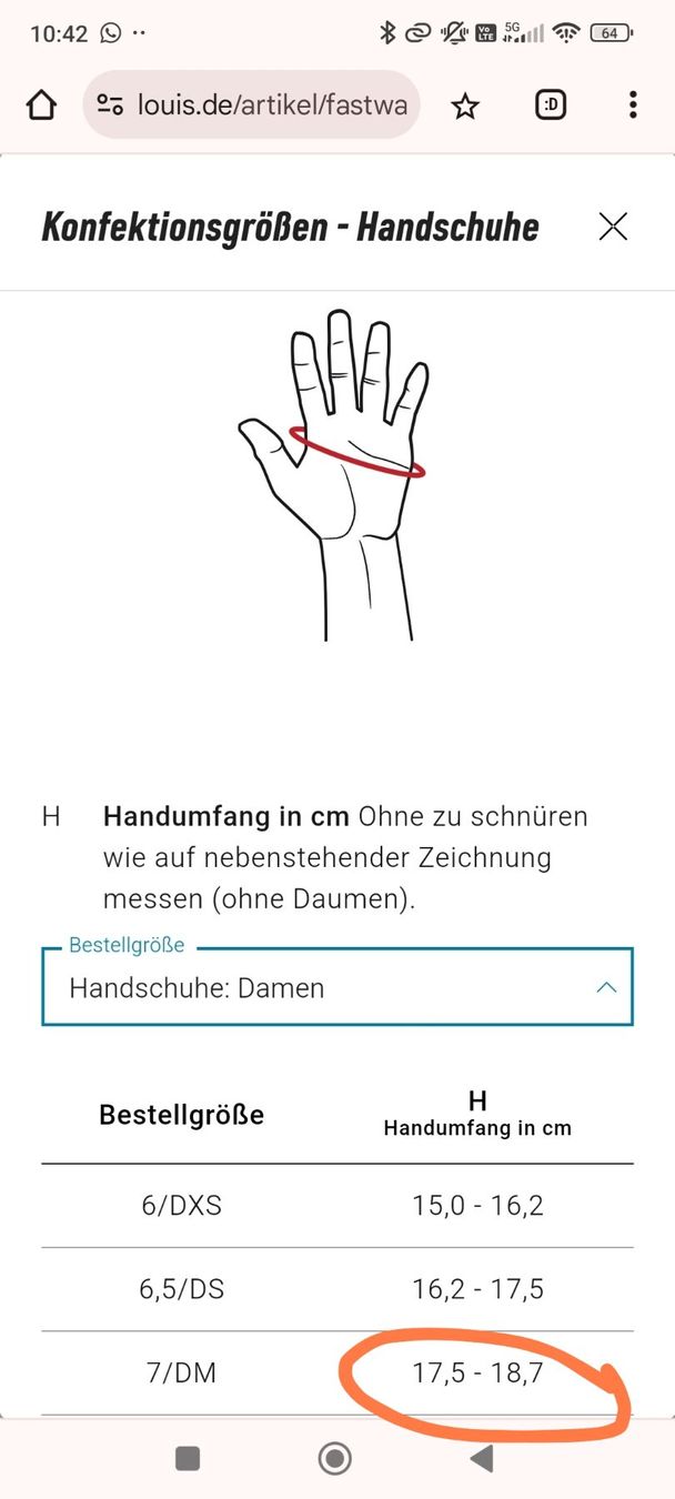 Guanti & manicotti: Motorrad Sommerhandschuhe (Damen) – Usato da Bülach venduto da verasara 3