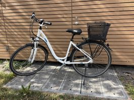 Damen Velo 