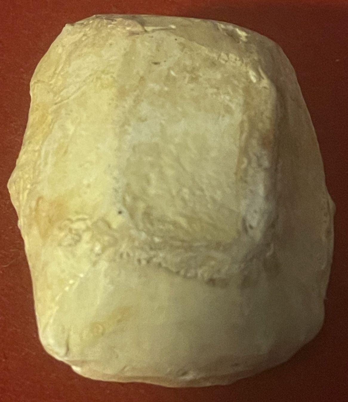 Tutte le decorazioni: Krippe mit Kind Antik ca. 80-100 Jahre – Usato da Lutzenberg venduto da Truhe 1