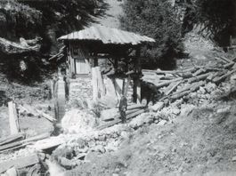 Törbel   VS  -   Sägerei am Törbelbach und Maultier ca. 1920