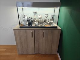 Aquarium mit Motor innereien