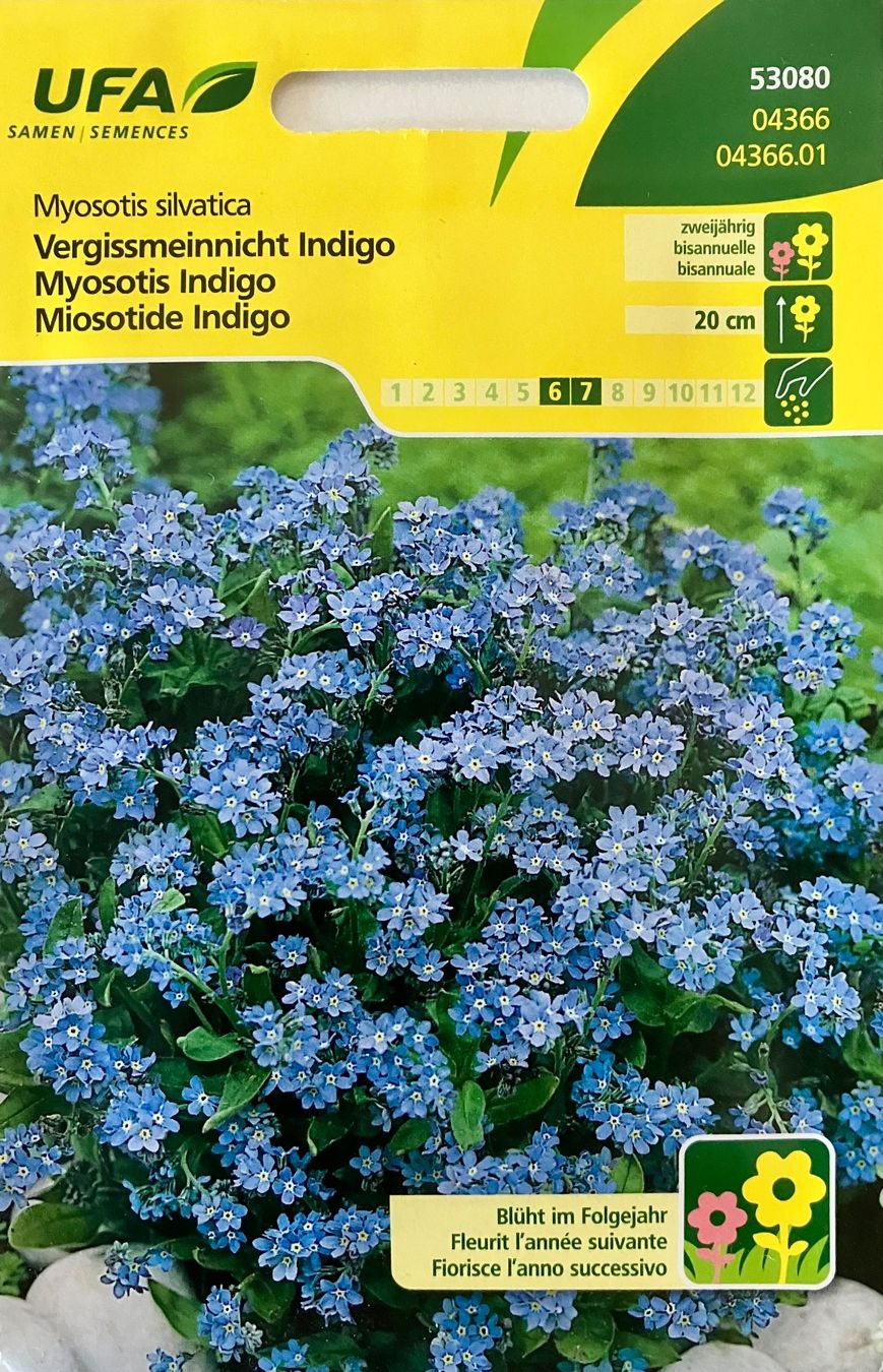 Piante & sementi: Diverse Blumen- und Gemüsesamen – Nuovo e nell'imballaggio originale da Schaffhausen venduto da NinaRicardo 3