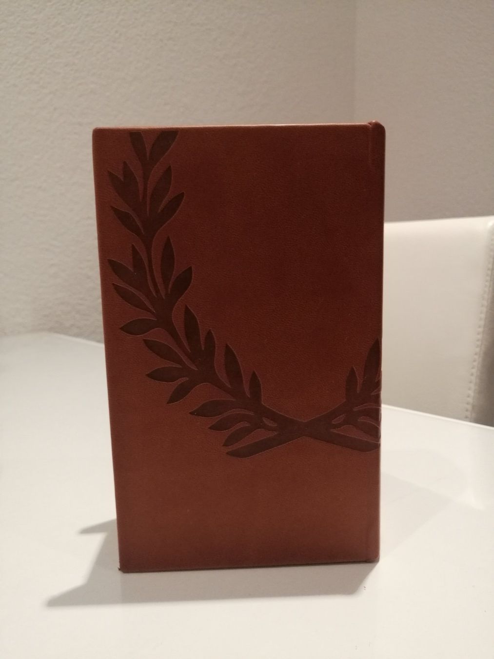 Cassapanche: Buch Schatule – Nuovo (secondo la descrizione) da Biel/Bienne venduto da M.D.C 9