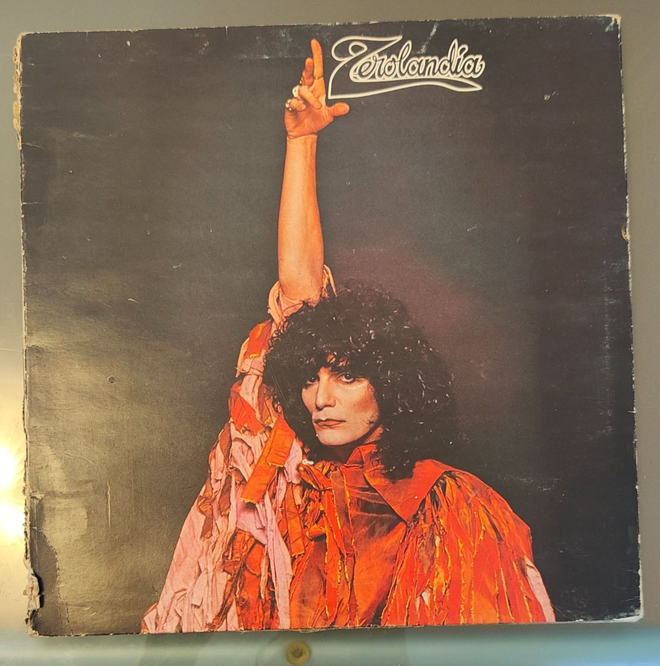 Dischi in vinile: Zerolandia - Renato Zero - LP 33 buone condizioni – Usato da Massagno venduto da Massimo037