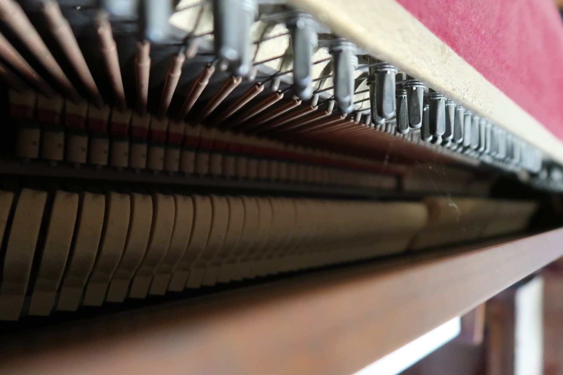 Strumenti musicali: Klavier: May Berlin – Usato da Buchs SG venduto da MMmmnS 2