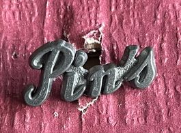 Pin‘s Pin