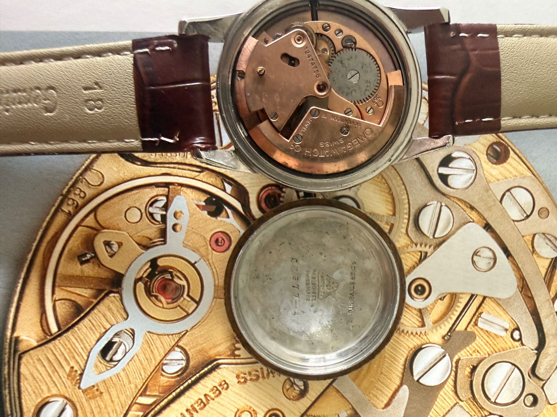 Omega Orologi: Omega Seamaster bumper 36mm – Usato da Nyon venduto da dom_jc9b 4