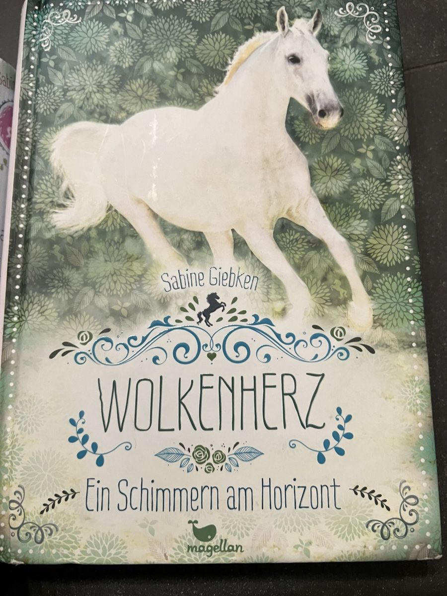 Libri: Wolkenherz – Nuovo (secondo la descrizione) da Flims Waldhaus venduto da casagrondasilvia 5