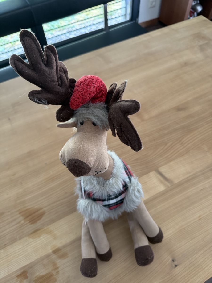 Toutes les décorations: Lustiger Türstopper – D'occasion à Zollikofen par Maria_verena