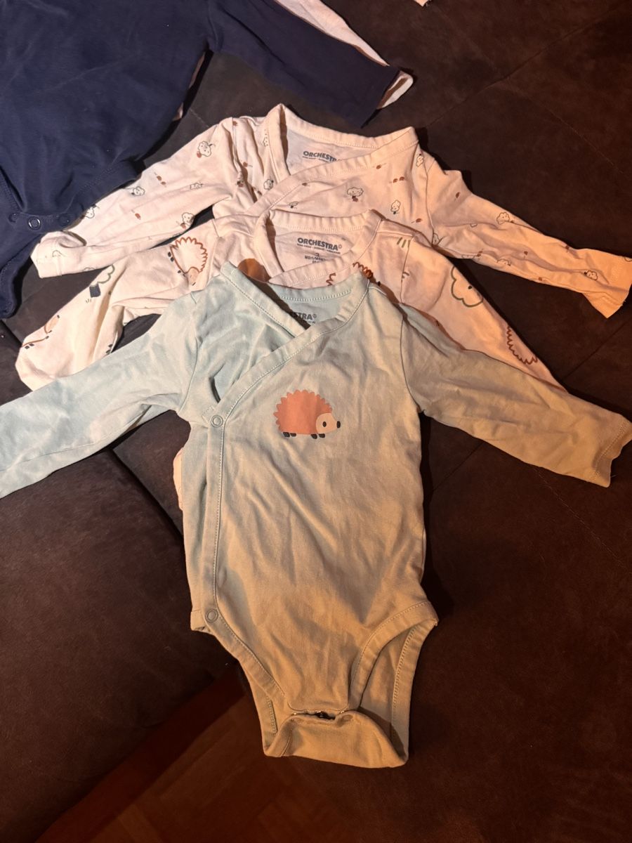 Lotti & Set di vestiti: Baby-Langarmbodys – einzeln oder als Paket   – Nuovo (secondo la descrizione) da Rupperswil venduto da GINGA-TYRESE 2
