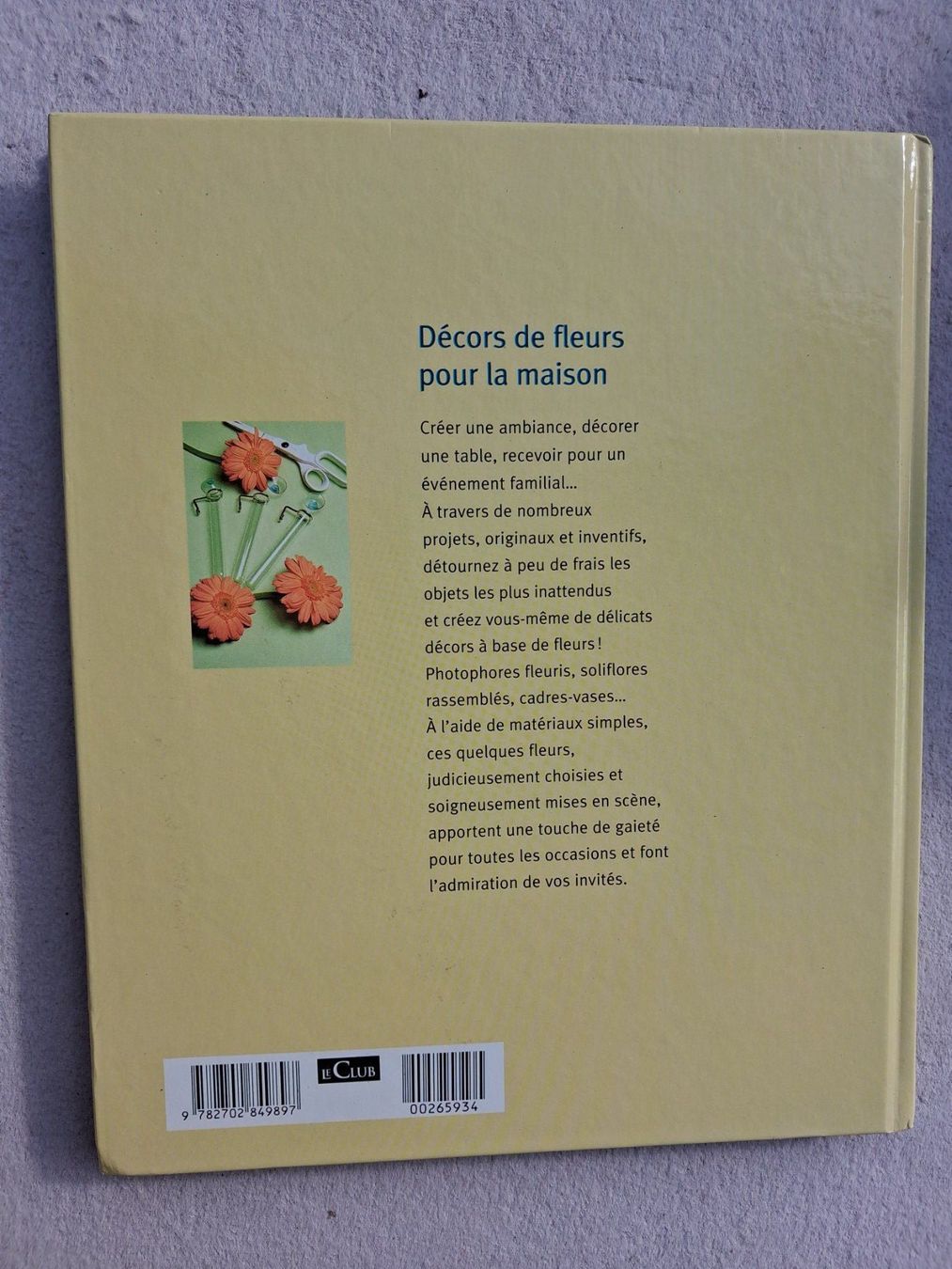 Libri: Décors de fleurs pour la maison – Usato da Fully venduto da Minouchka 8