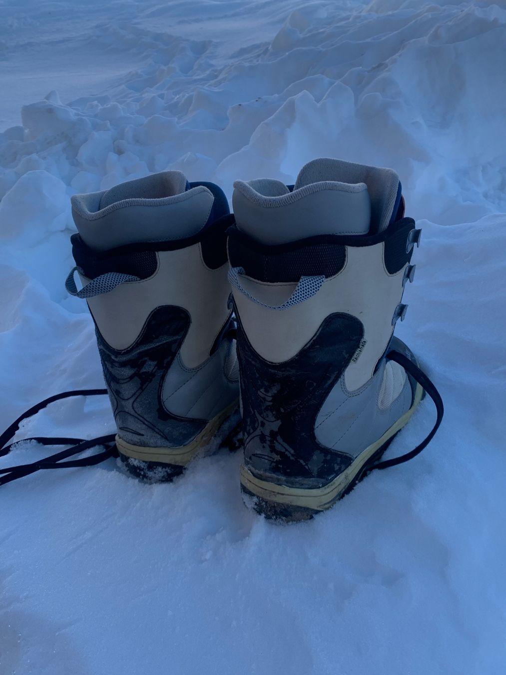 Scarpe da uomo: Snowboardschuhe Grösse 39 – Usato da Wildegg venduto da Elefant42 1