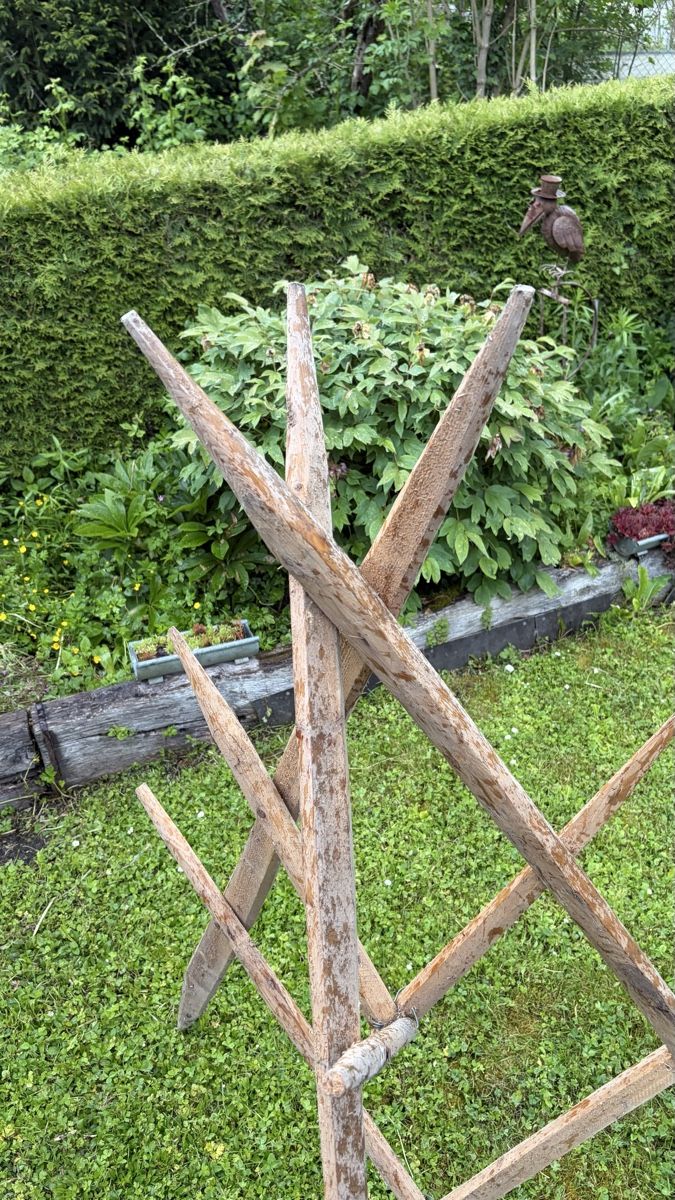 Altre Decorazioni per giardino: Holzheinze/Rankhilfe – Nuovo (secondo la descrizione) da Arisdorf venduto da Lerpi 3