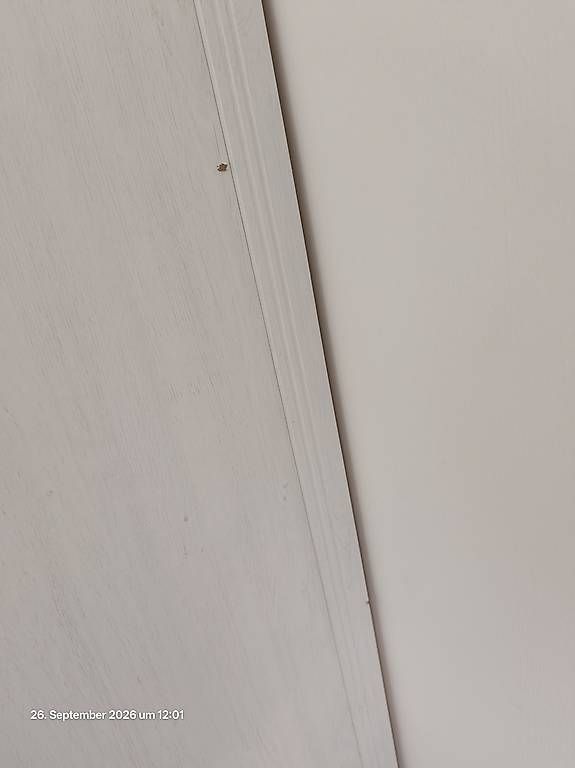 Ikea Armadi: Kleiderschrank – Usato da Küssnacht am Rigi venduto da Arihar 2
