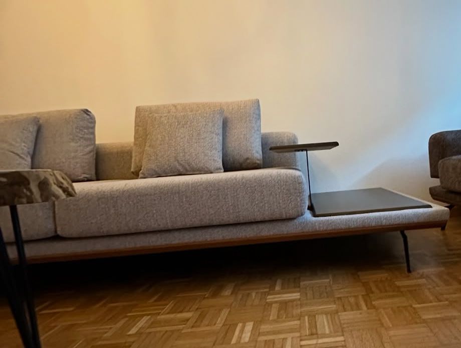 Sofas: Leon Sofa – D'occasion à Basel par gae_b8zt 2
