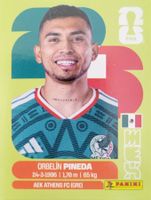 Panini FIFA World Cup MEX 11