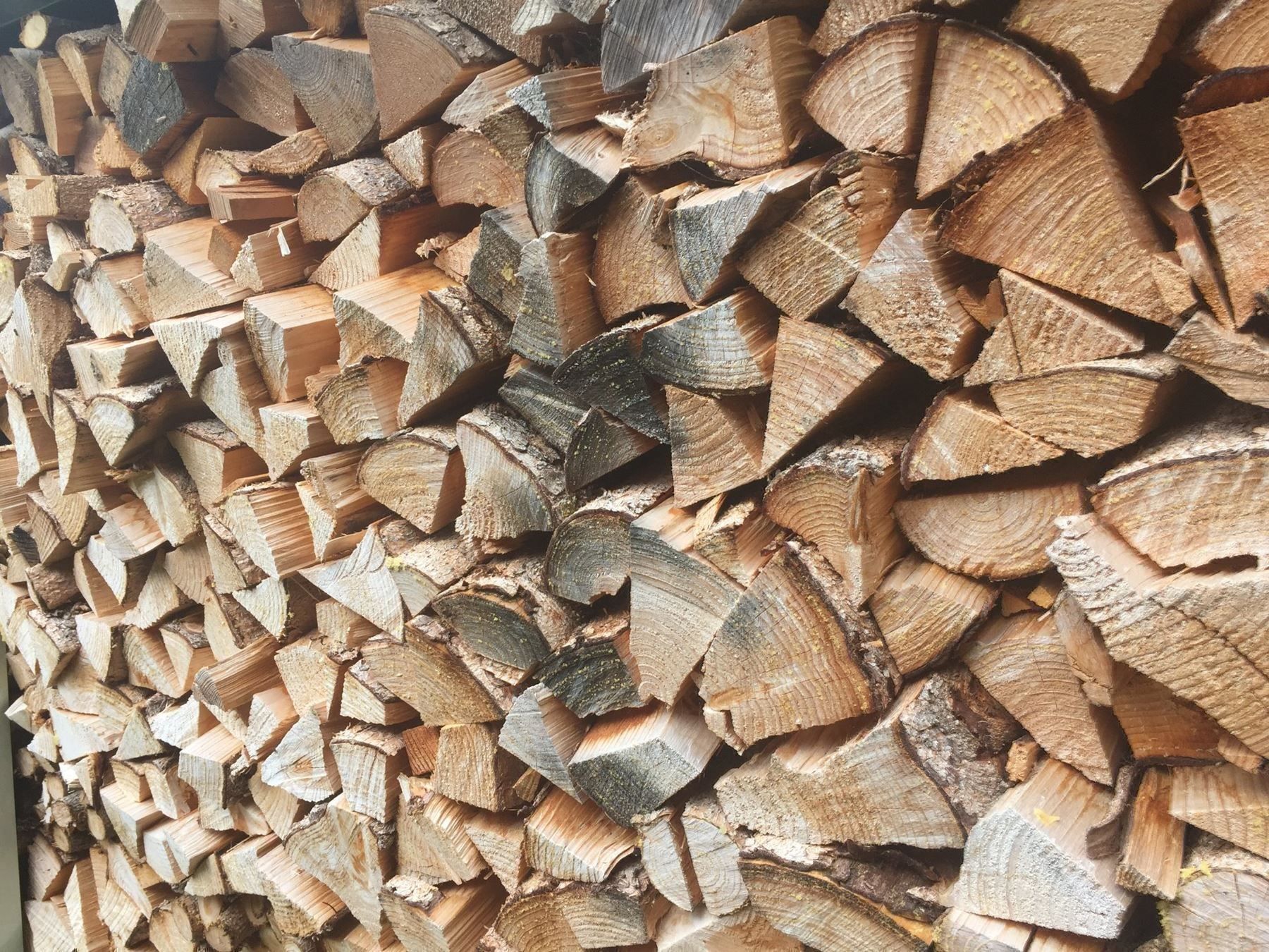 Articoli in legno: Brennholz aus Savognin – Nuovo e nell'imballaggio originale da Savognin venduto da Buongiorno