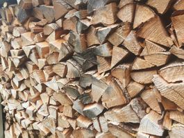Brennholz aus Savognin