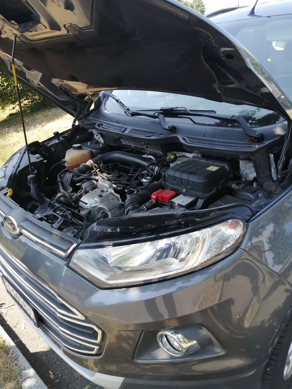 Ford Automobili: Ford eco sport – Usato da Wetzikon venduto da dan_6lrd 9