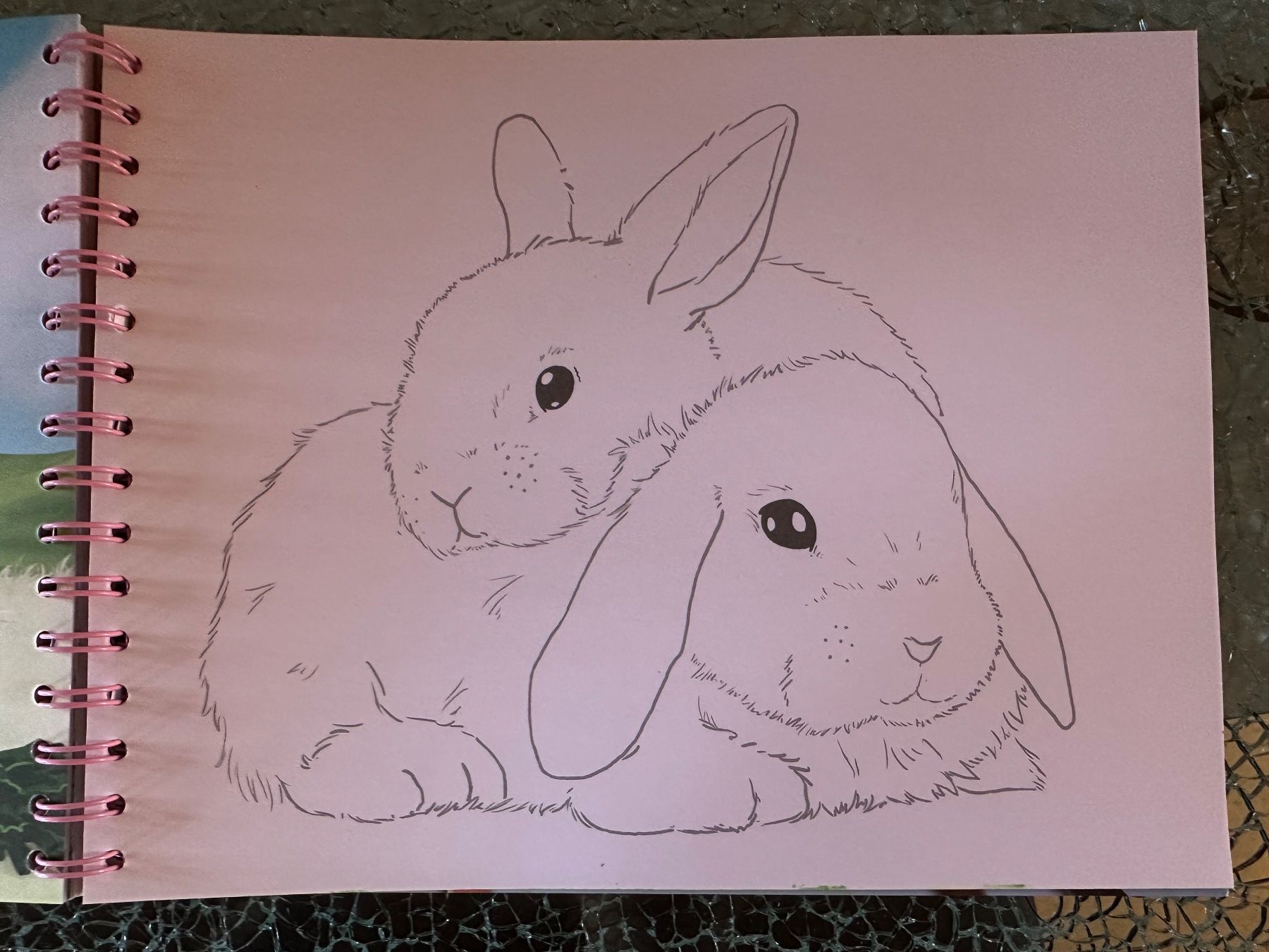 Bücher: Creative Studio Animal Love Zeichnungsheft – Gebraucht aus Riedt b. Erlen von sina.aline 8