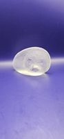 Mats Jonasson Seehund Paperweight