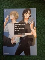 Yaoi BoysLove Manga Sonnenschein nach rauchblauem Regen