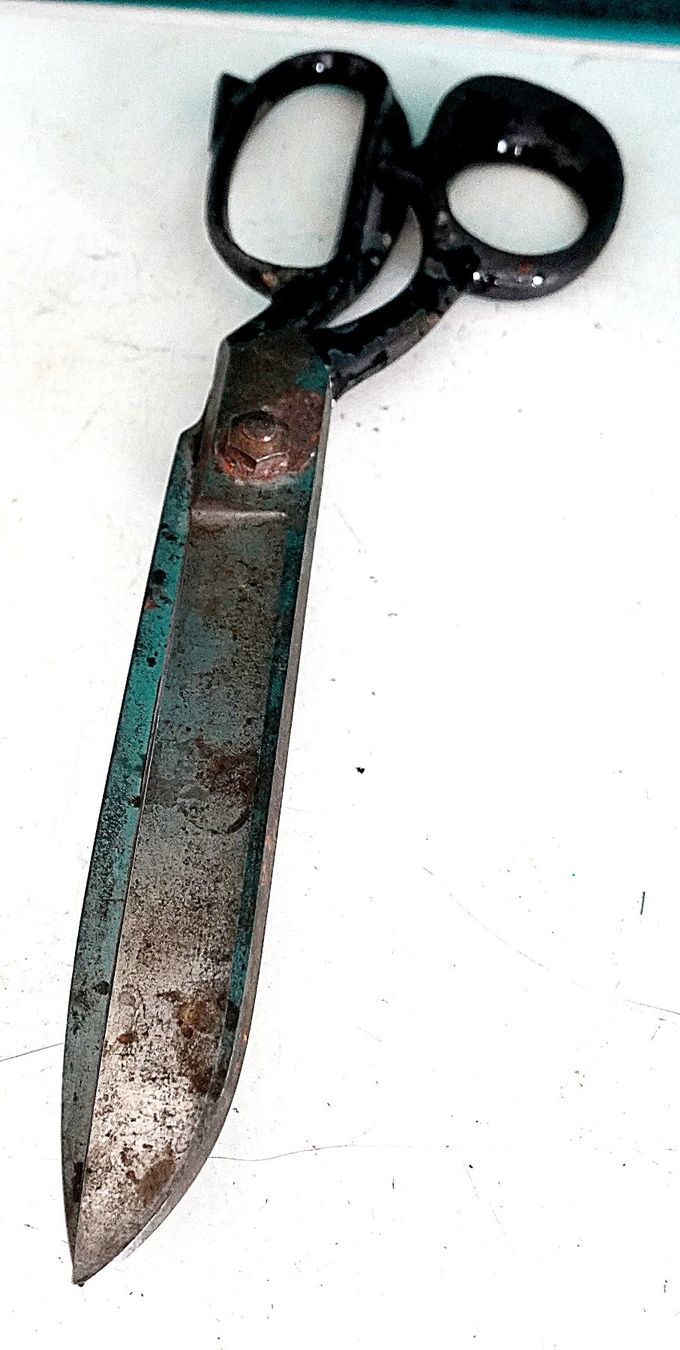 Tutti gli attrezzi: Schneider Schere Profi 29cm – Usato da Baar venduto da 2cvbaar 1