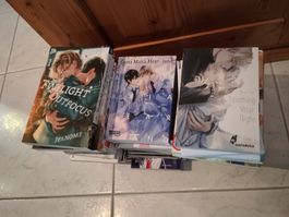 Manga-Sammlung Boys Love / BL / Yaoi ca. 50 Stück