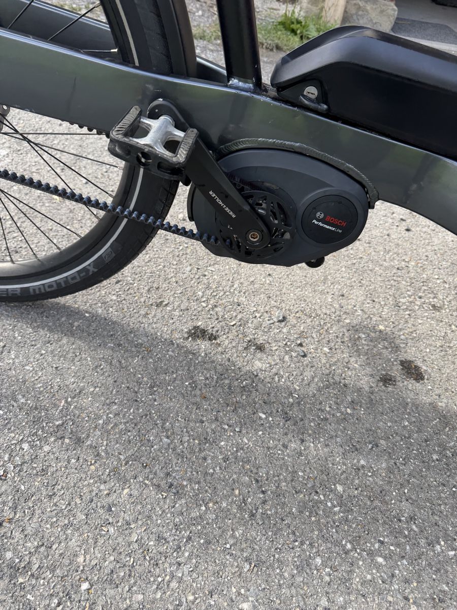 Riese & Müller Velos: Riese & Müller Packster 60 Cargo eBike/Cargo Velo – Gebraucht aus Ennetbürgen von de_dutchman 1