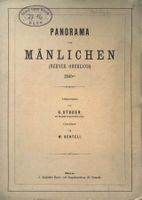 Mänlichen Panorama von Studer
