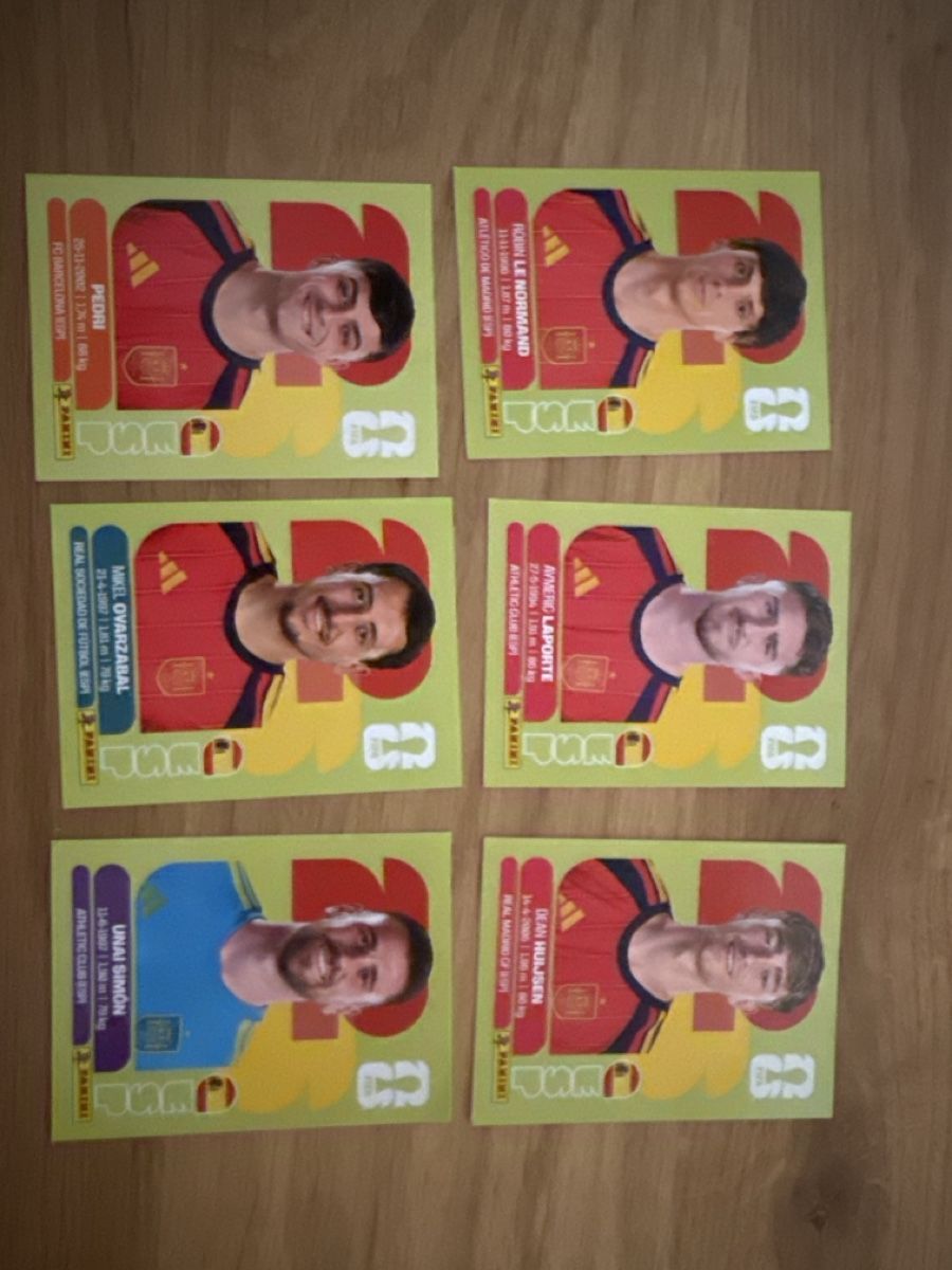 Panini Carte collezionabili: Panini – Usato da Langnau i. E. venduto da Acrjl