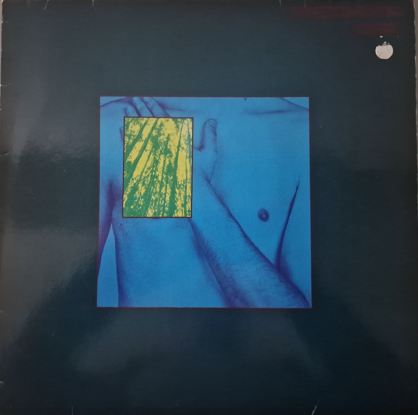 Dischi in vinile: Tuxedomoon LP – Desire – Usato da Root venduto da atelier22