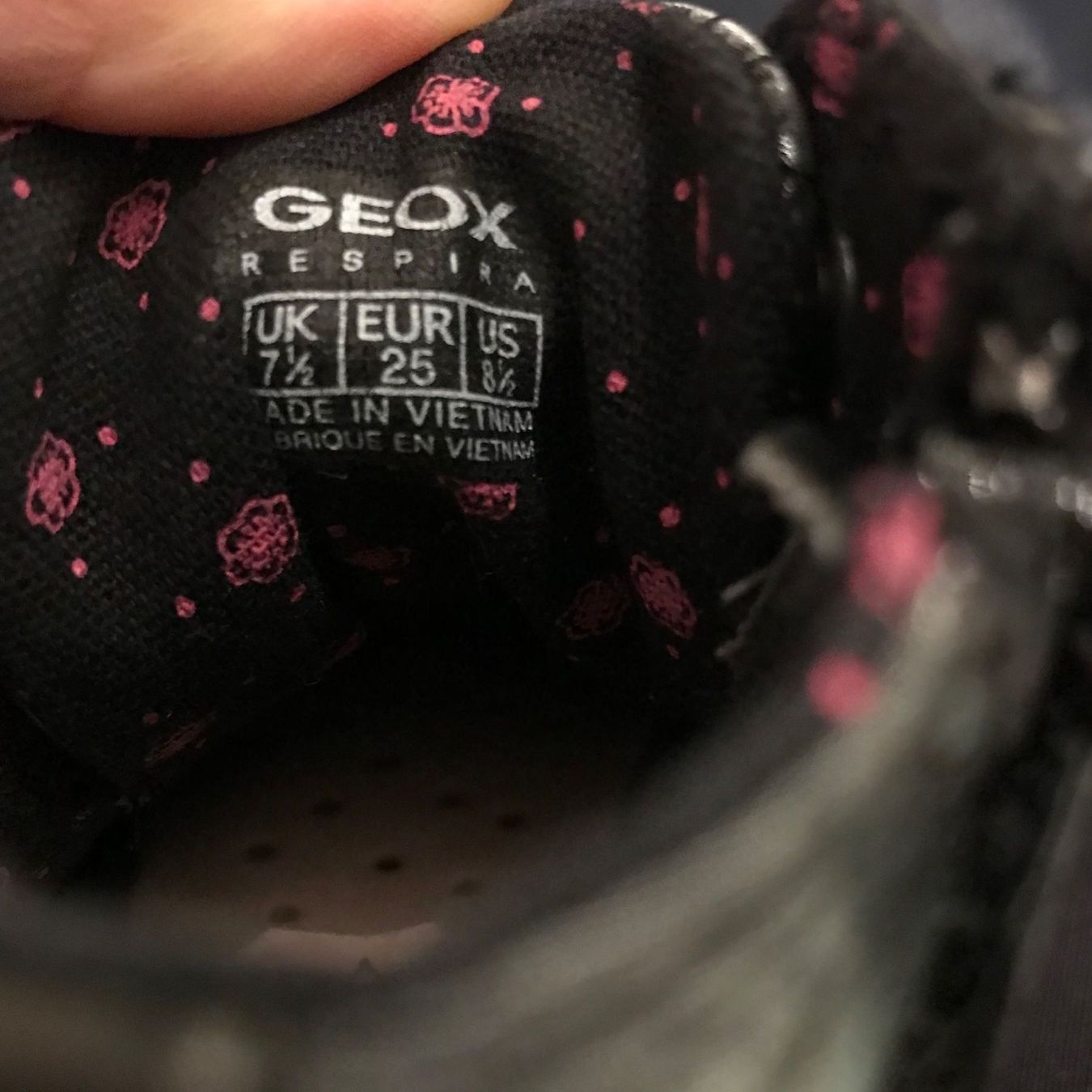Geox Scarpe per ragazze: Geox Halbschuhe, Gr. 25, nagelneu – Nuovo e nell'imballaggio originale da Hünenberg See venduto da spartakus02 1