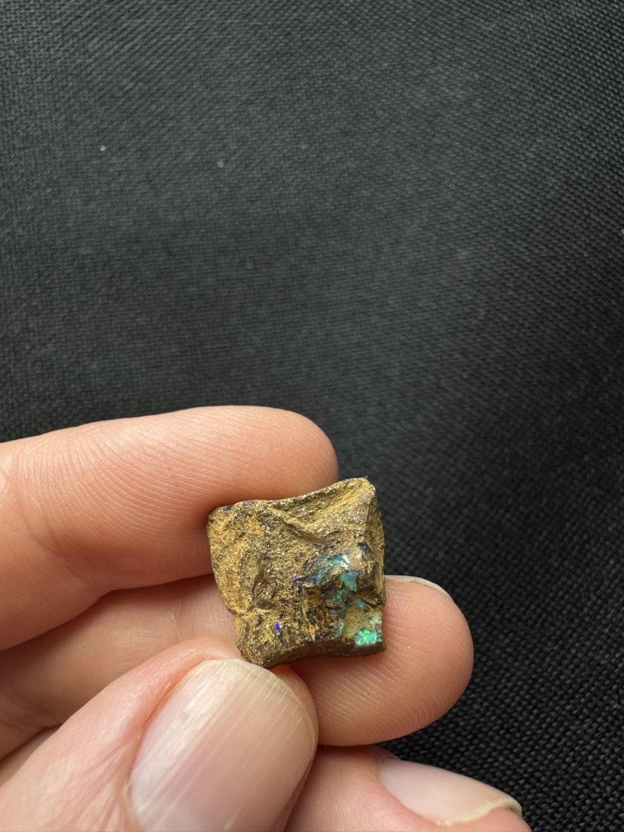 Pietre preziose: Boulder Opal Lot 3, 113.20ct – Nuovo e nell'imballaggio originale da Wängi venduto da Horus90 4