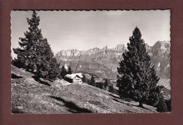 Berghotel SCHÖNHALDEN ob Flums - 1960