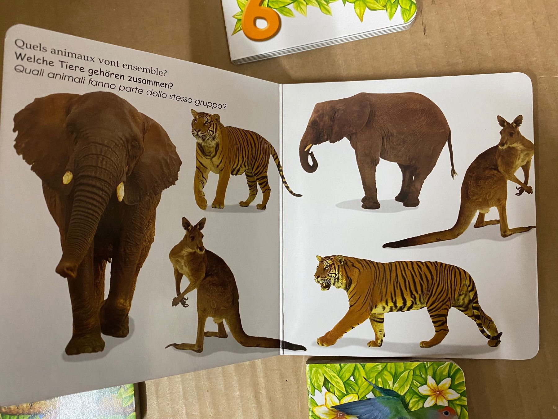 Bücher: Zoo Bücher (vergleiche) – Gebraucht aus Eschlikon TG von ArtRec 9