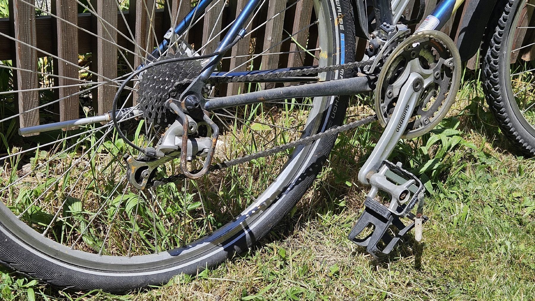 Wheeler Biciclette: WHEELER 3800 Mountainbike – Usato da Zürich venduto da Kingphil1 5