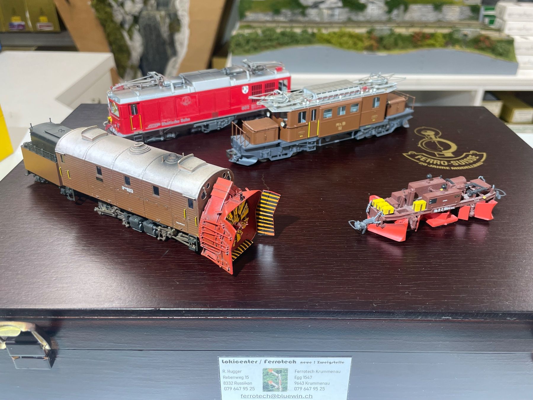Ferro-suisse Modellini di ferrovie: Ferro Suisse / Bemo Metal, Bernina-Set E – Usato da Hofstetten ZH venduto da kroki66