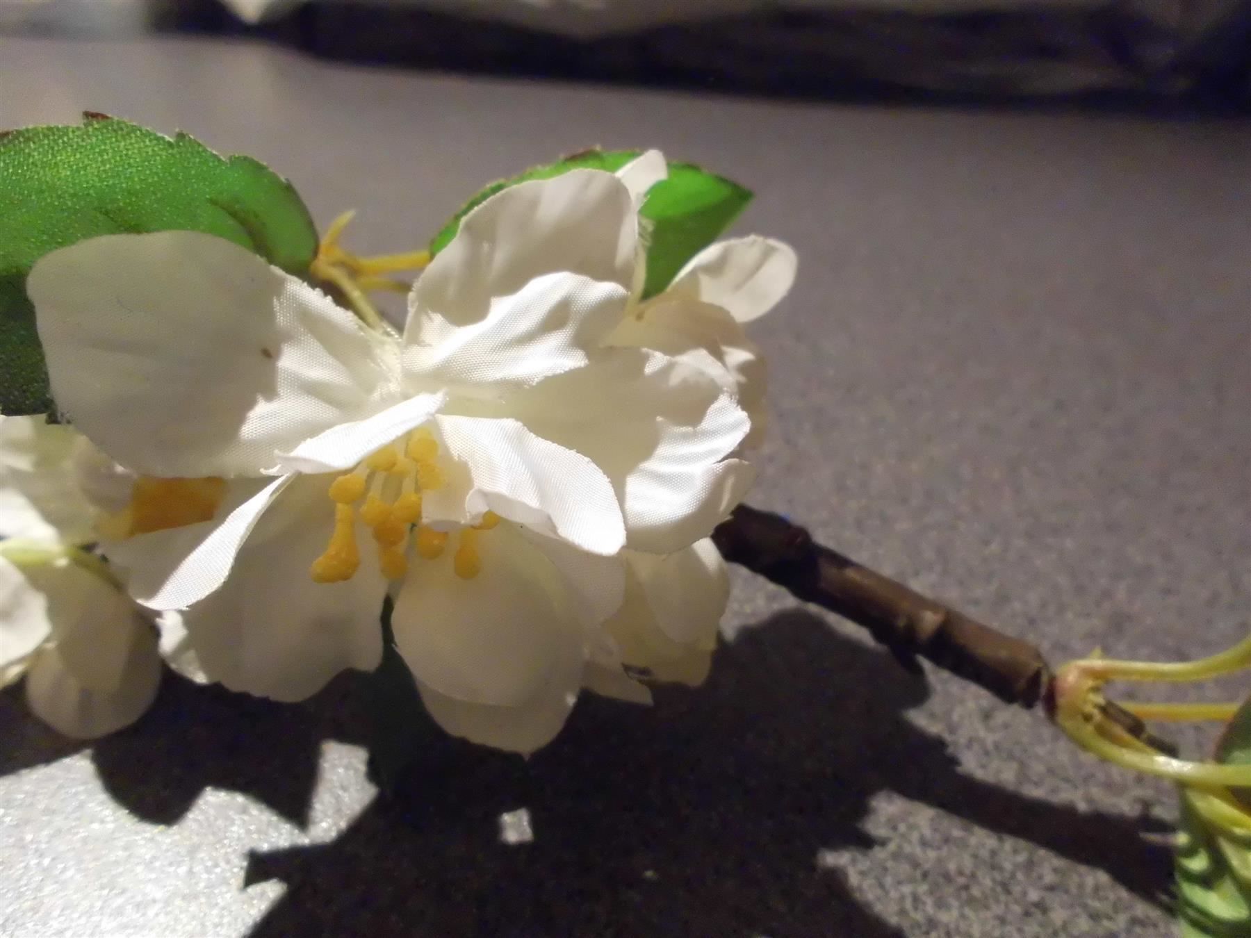 Pots de fleurs: Ast mit weissen Blumen – D'occasion à Zürich par Motzkuh 2