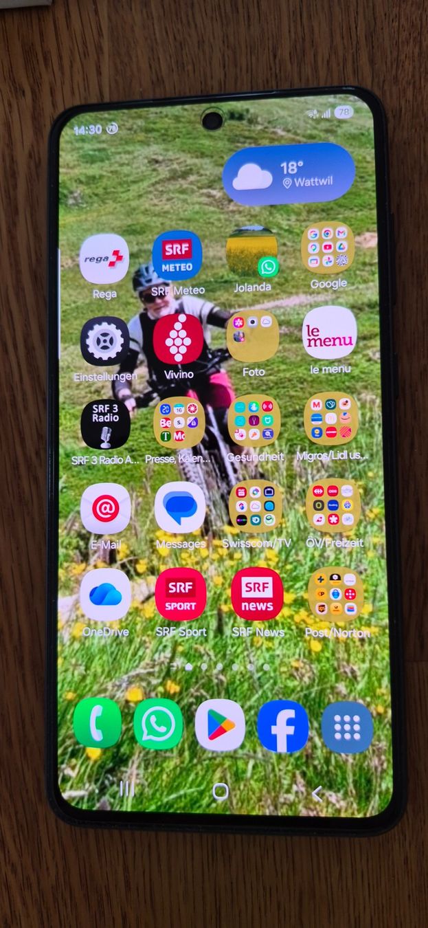 Samsung Handys / Smartphones: Samsung Galaxy S21FE – Gebraucht aus Wattwil von Pjolanda