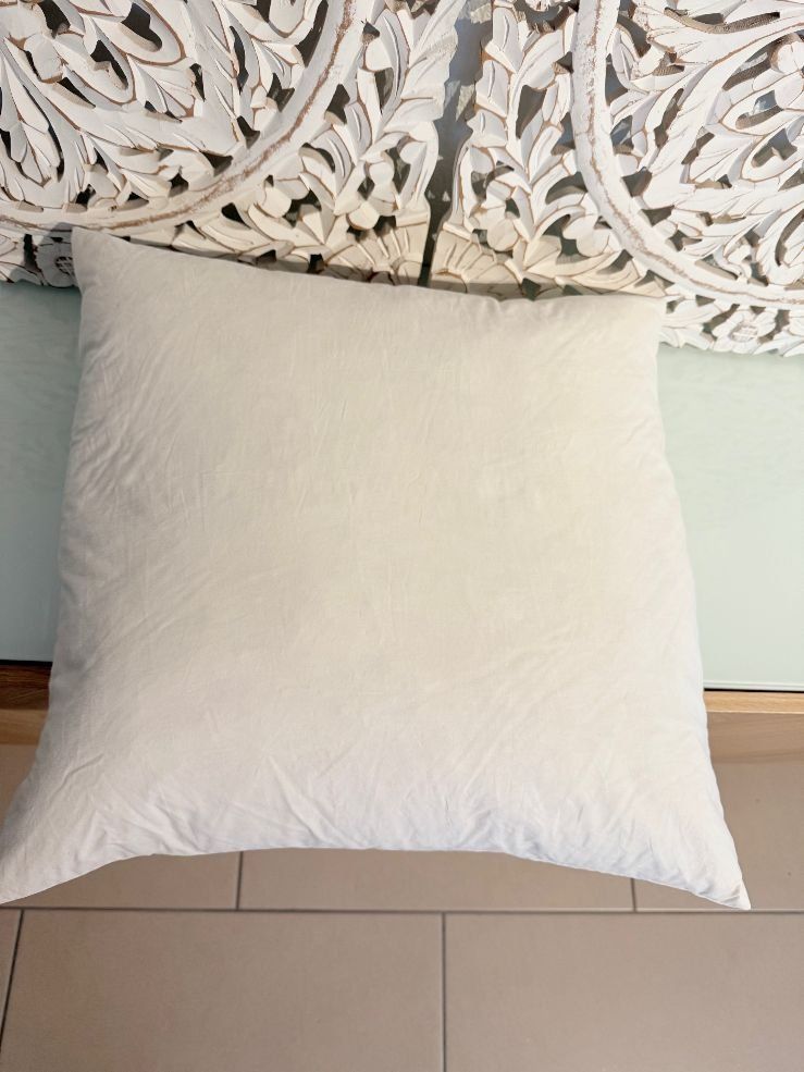 Globus Kissen: Echte Daunen Kissen 50x50cm – Gebraucht aus Fällanden von Eifachschoen 1