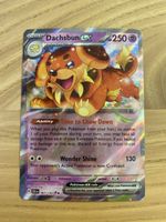 Dachsbun EX 067/142 - Top Zustand - Pokemon Karte!