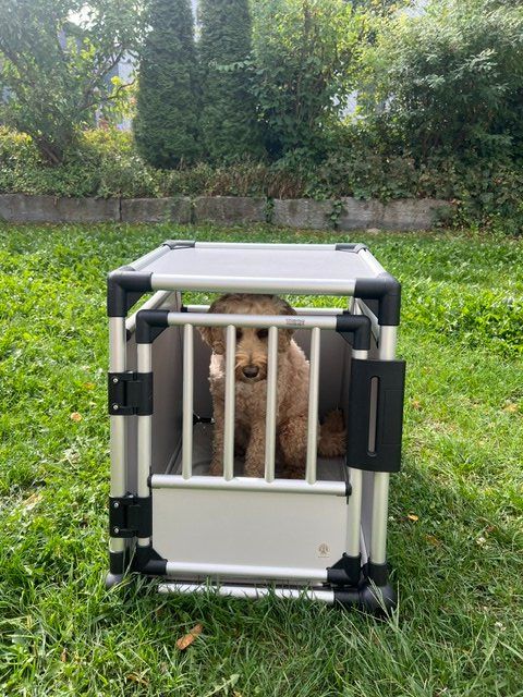 Cucce & Letti: TRIXIE Hunde-Transportbox M – Usato da Wiesendangen venduto da tulpje 1