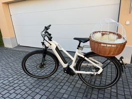 Hundekorb für Velo/Fahrrad