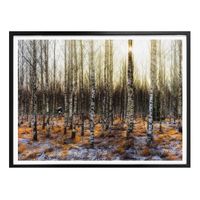 Poster Olsen 60x50cm (neu, UVP 36.90 Fr.)